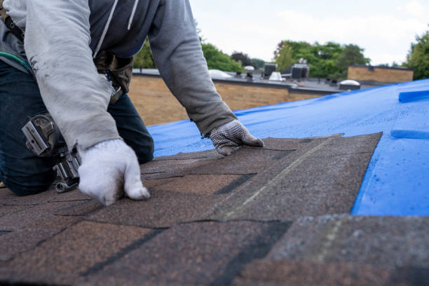 Quick and Trustworthy Emergency Roof Repair Services in Salisbury, MD