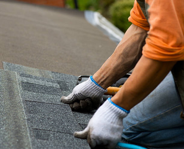 Best Residential Roofing Contractor  in Salisbury, MD