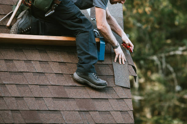 Best Storm Damage Roof Repair  in Salisbury, MD